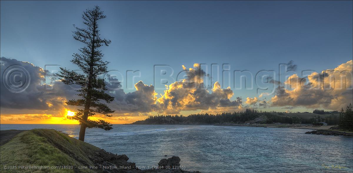 Peter Bellingham Photography Lone Pine - Norfolk Island - NSW T (PBH4 00 12155)